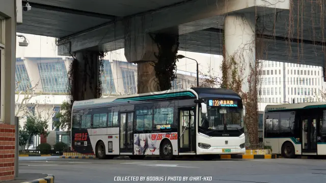 沪A 58202D