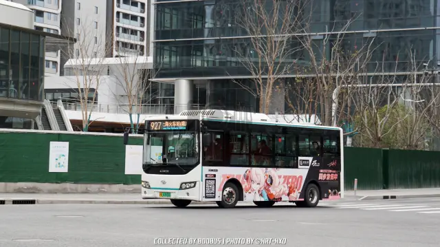 800BUS