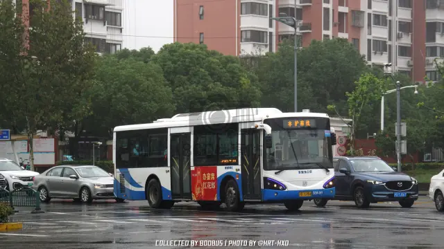 沪D T5984