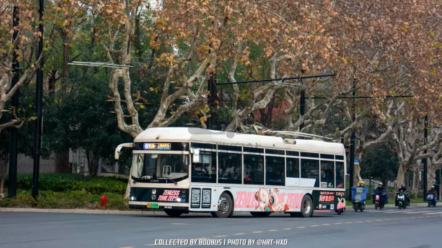 沪A 01078D