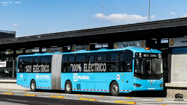800BUS