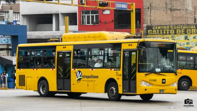 800BUS
