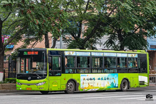 辽C B4743