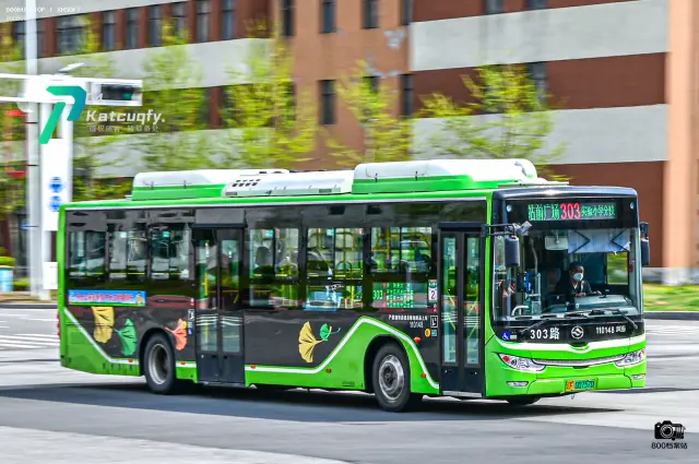800BUS