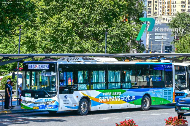 800BUS