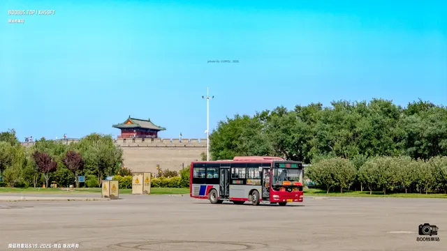 800BUS