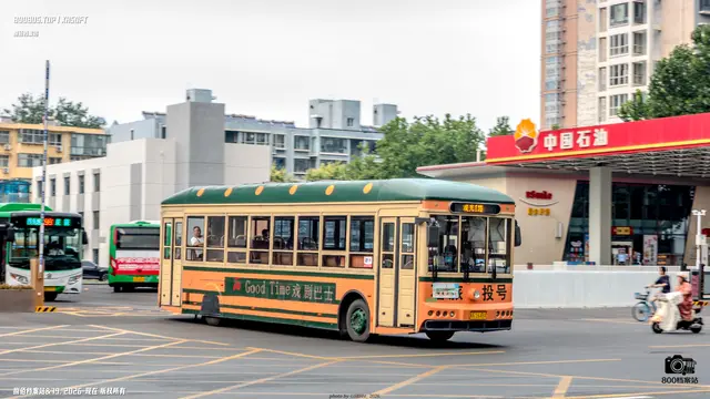 800BUS