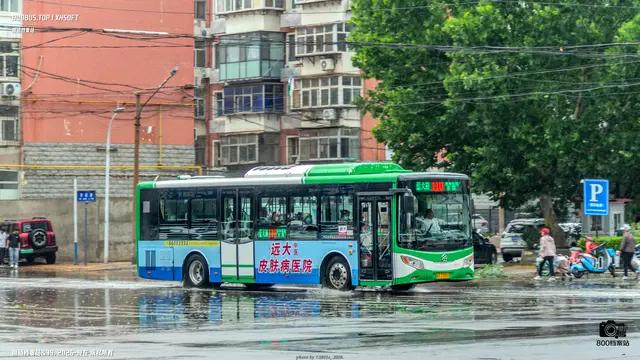 800BUS