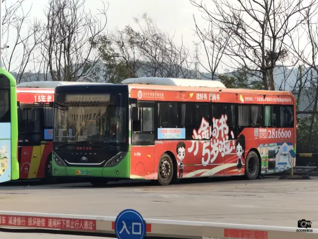 800BUS