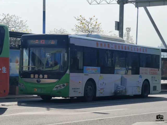 800BUS