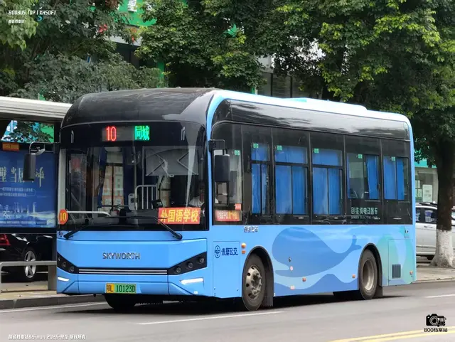 鄂L 10123D