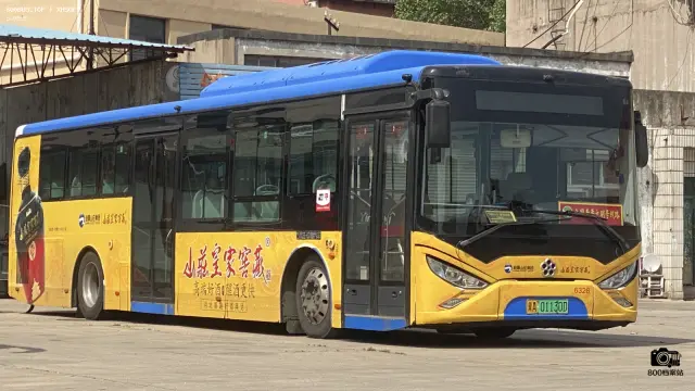 800BUS
