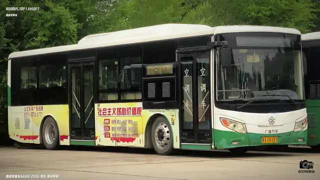800BUS