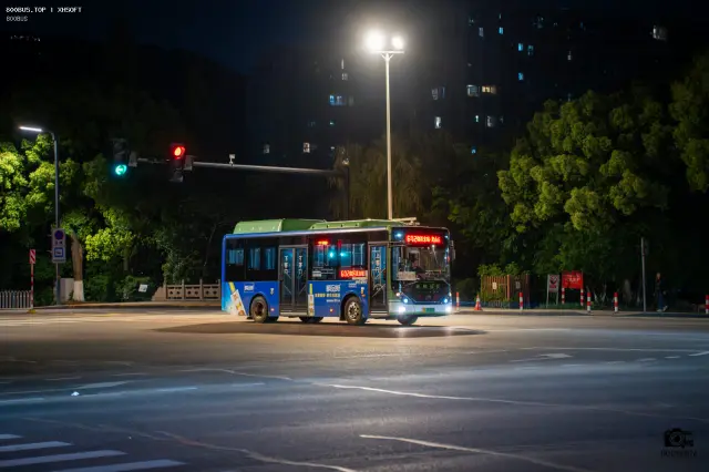浙E 03356D