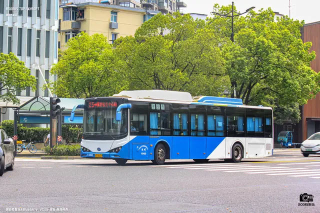 浙A 6K419
