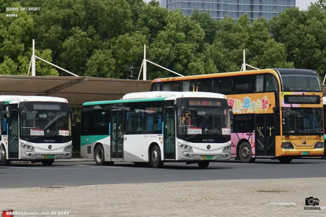 800BUS