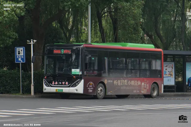 800BUS