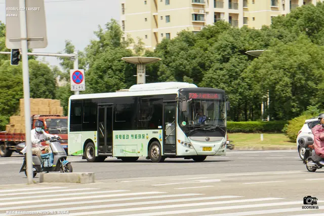 浙B 88828