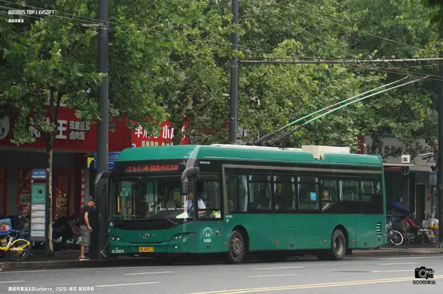 浙A 4H312