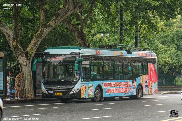 浙A 2J890