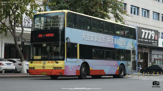 800BUS
