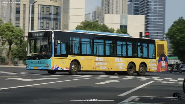 800BUS