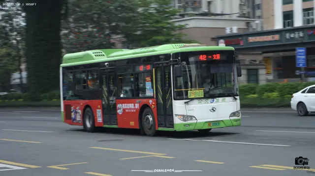 800BUS