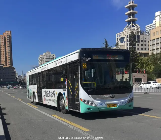 800BUS