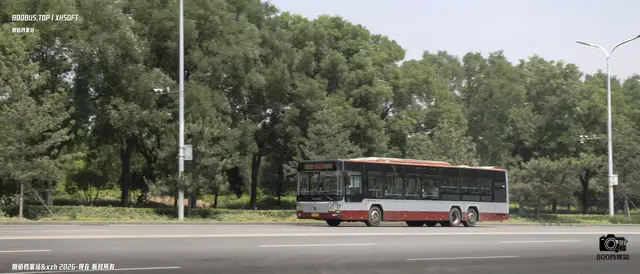 800BUS