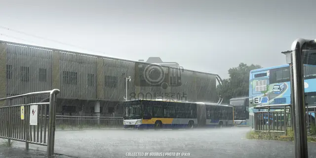 800BUS