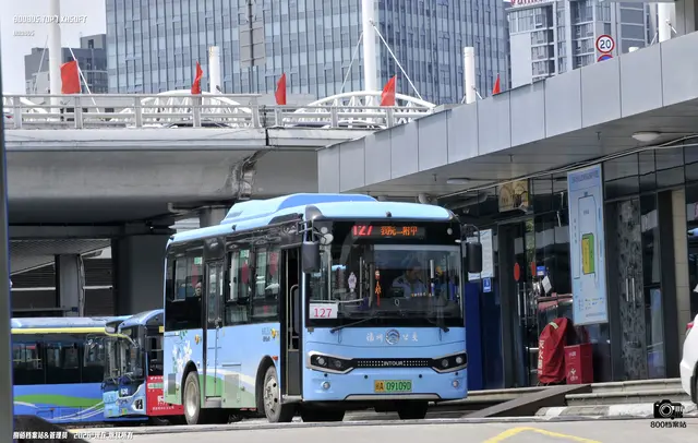 800BUS
