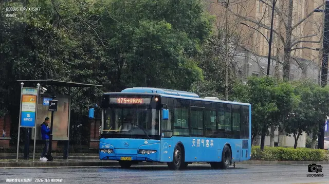 800BUS