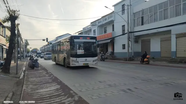 800BUS