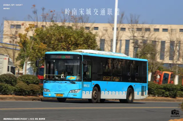 800BUS