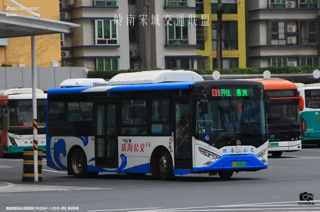 粤C 01851D
