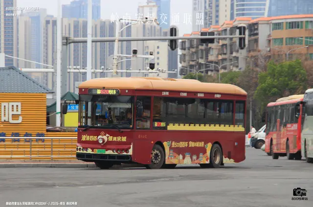 800BUS