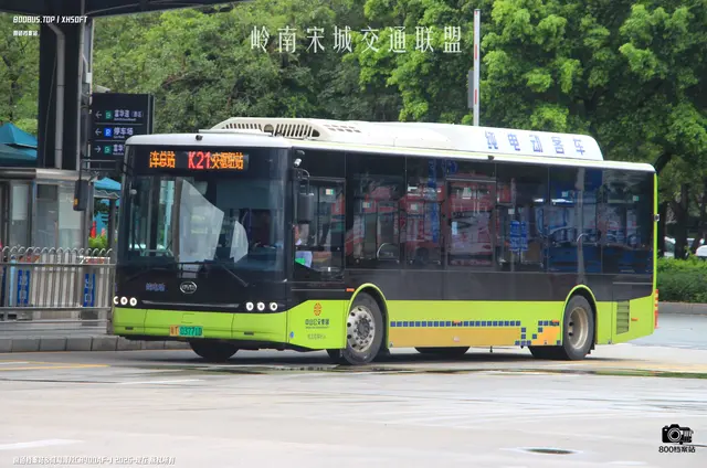 800BUS