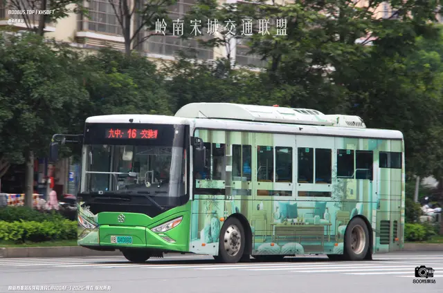 800BUS