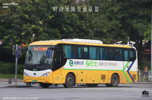 粤B 46975D