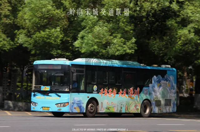 800BUS