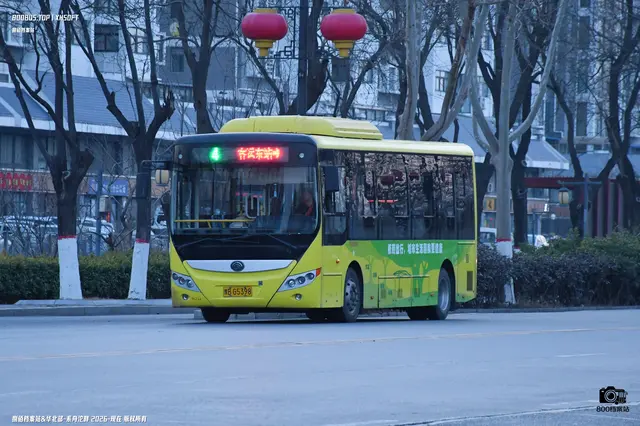 800BUS