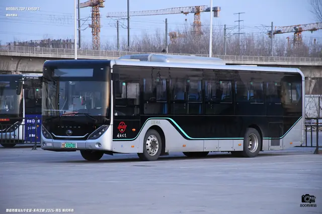 800BUS
