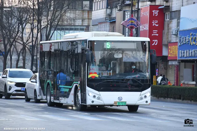 800BUS