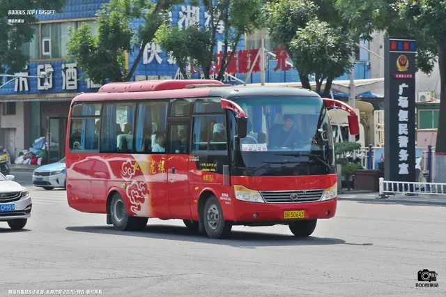 800BUS