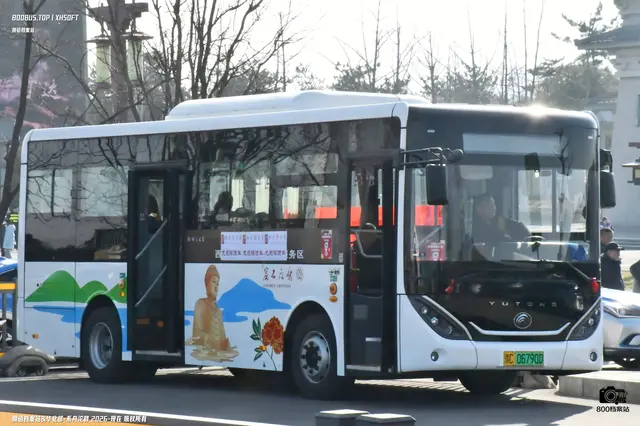 800BUS