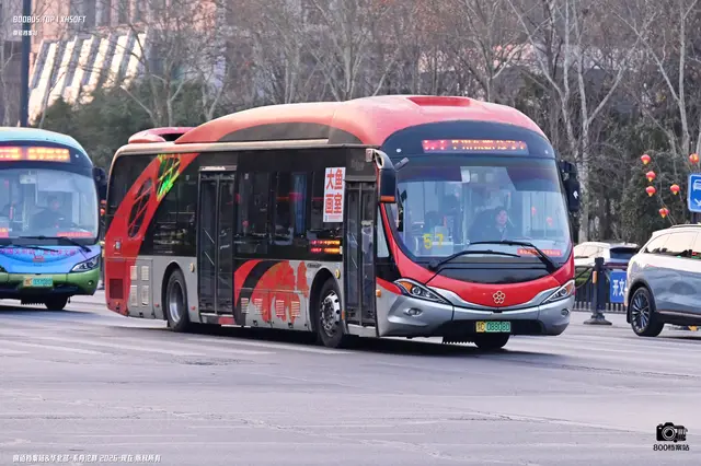 800BUS