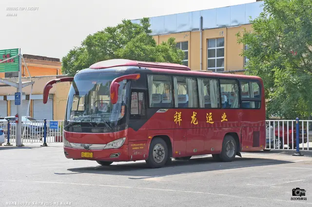 800BUS