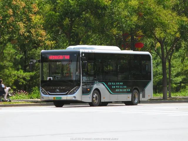 晋E 09920D