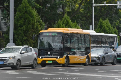 冀A 06000D