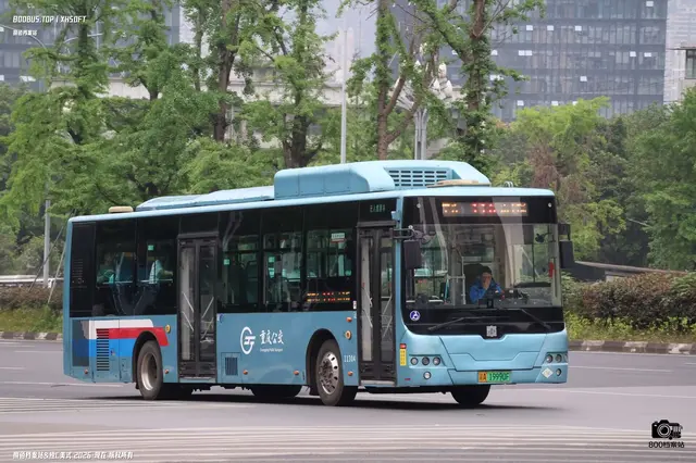 800BUS